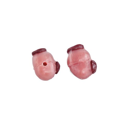 Ovary model - 1025 series - 3B Scientific   - veterinary / training / cattle