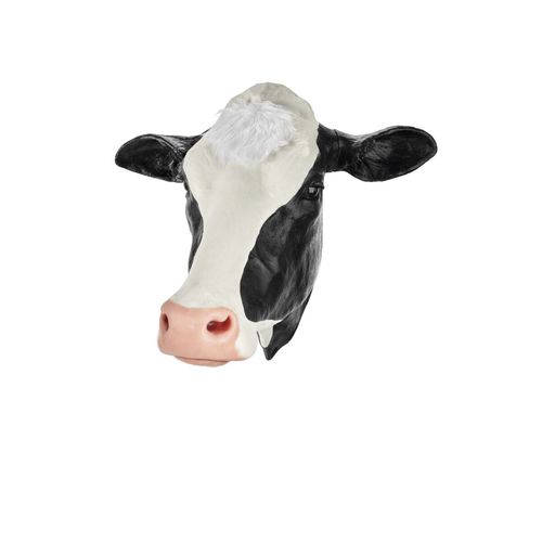 Training simulator - 1025 series - 3B Scientific   - veterinary / canine / cattle