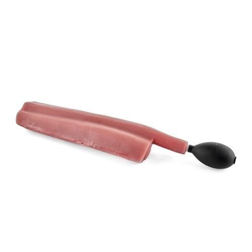 Rectal palpation simulator - 1025596 - 3B Scientific   - training / veterinary / for equines