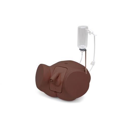 Urological care training manikin - PRO - 3B Scientific   - urinary catheterization / for male catheterization / male