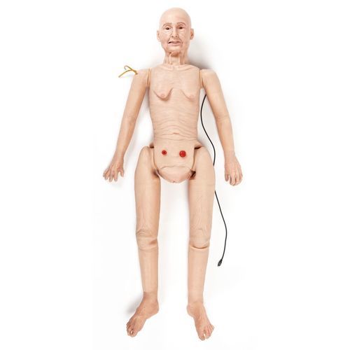 Dental care training manikin - TERi™ - 3B Scientific   - nursing care / for geriatric treatment / ostomy care