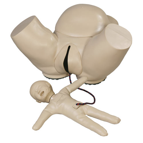 Training simulator - AR50S - Adam, Rouilly - palpation / delivery / obstetrical/gynecological