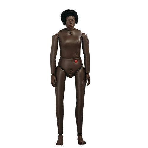 Anatomy training manikin - AR1000-B - Adam, Rouilly - for general care / bandaging / intramuscular injection
