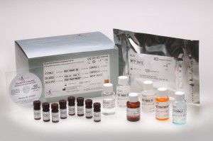 VB12 test kit - FMABT100 - Axis-Shield PLC  - pharmacology / blood / serum