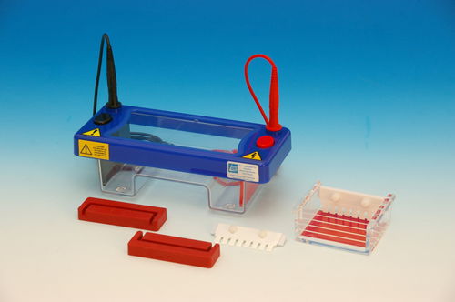 Horizontal electrophoresis chamber - PHERO-sub 0710-E - BIOTEC-FISCHER ...