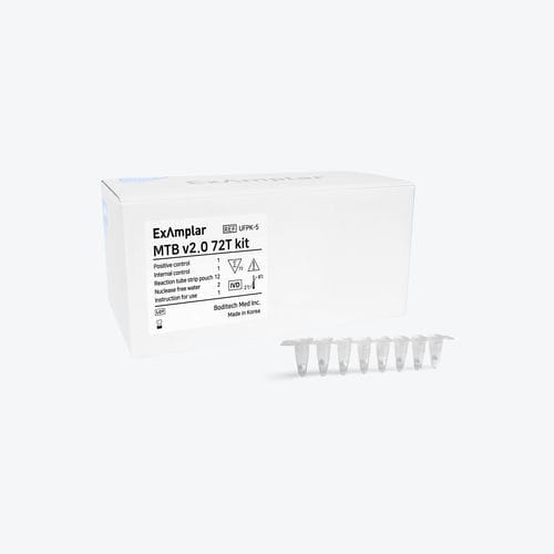 Research test kit - Boditech Med Inc. - Mycobacterium tuberculosis / sputum / for PCR