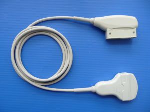 Convex-array ultrasound transducer - GC4CRS  - Broadsound Corporation  - abdominal / obstetrical/gynecological