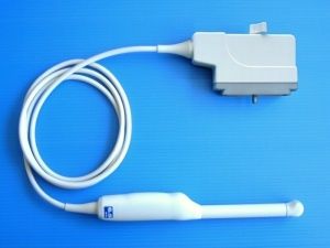 Endocavitary ultrasound transducer - PH6E94B  - Broadsound Corporation  - transvaginal / transrectal