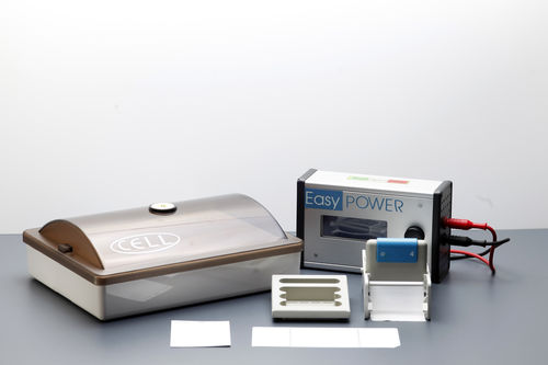 Manual electrophoresis system - CELL - Start Project  - for proteins / for immunofixation / benchtop