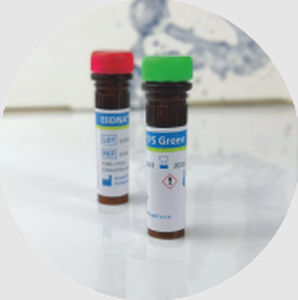 Dye reagent - ELiDNA™ - Elisabeth Pharmacon spol  - for nucleic acids / glycerol / for DNA