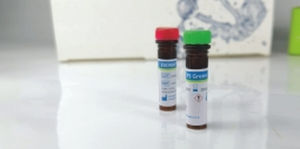 Solution reagent - EliDNA PS Green - Elisabeth Pharmacon spol  - dye / for electrophoresis / for DNA