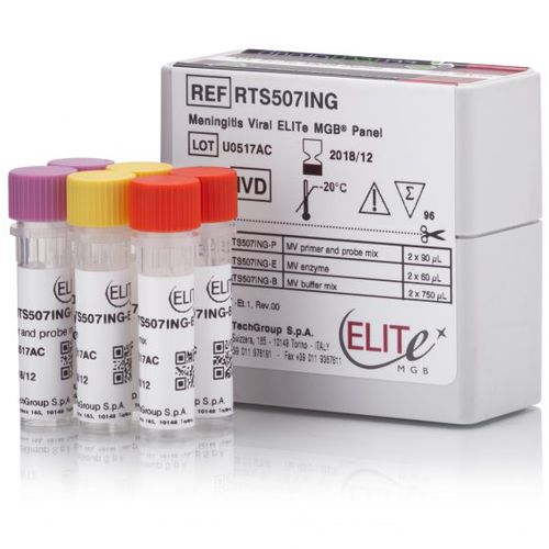 Meningitis test kit RTS507ING ELITech Group adenovirus