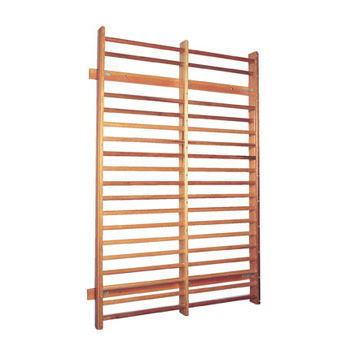 Double rehabilitation wall bars - RH012 - EMS Physio
