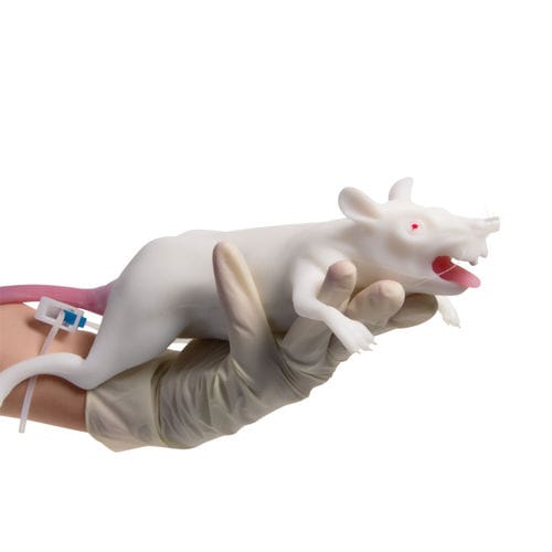 Animal research training manikin -  VET4200 - Erler-Zimmer - blood collection / for intubation / rodent