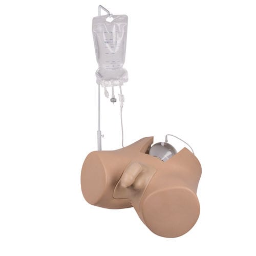Catheterization simulator - 7040 - Erler-Zimmer - for teaching / male