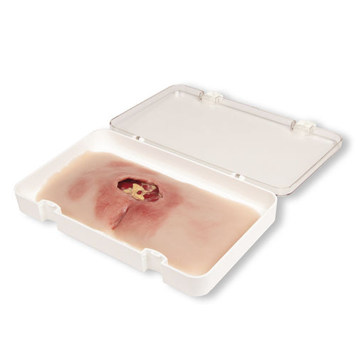 Training simulator - PW001B - Erler-Zimmer - for demonstration / wound management / surgical