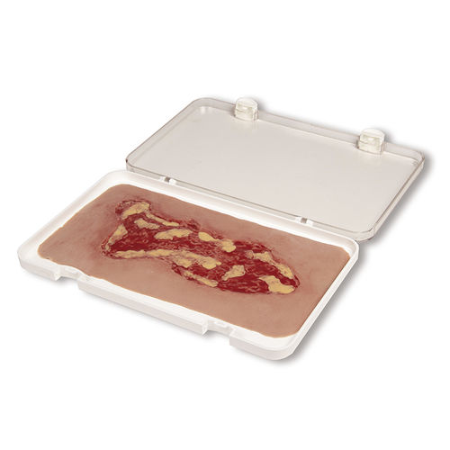 Wound management simulator - PW003A - Erler-Zimmer - nursing care / pad / fixed