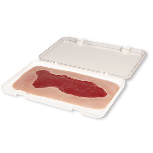 Wound management simulator - PW003B - Erler-Zimmer - nursing care / pad