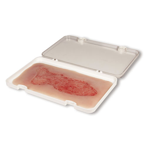 Wound management simulator - PW003C - Erler-Zimmer - nursing care / pad