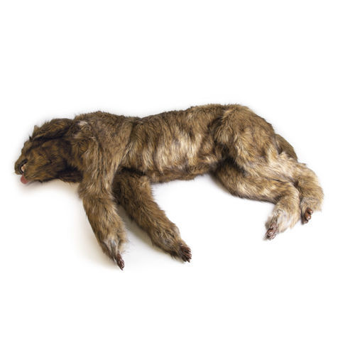 Surgery training manikin - VET4630 - Erler-Zimmer - veterinary / for demonstration / dog