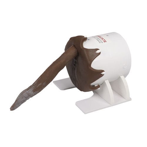 Rectal examination simulator - VET4650 - Erler-Zimmer - veterinary / canine / silicone