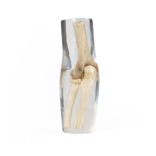 Radiography test phantom - 7260 - Erler-Zimmer - elbow