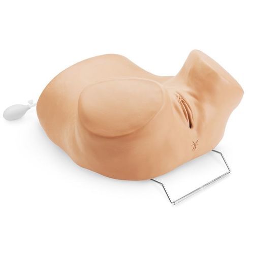 Pelvic examination simulator - R10186 - Erler-Zimmer - for IUD insertion / female / adult