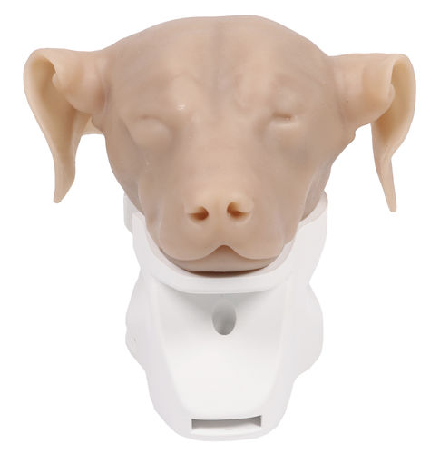 Training simulator - VET4670 - Erler-Zimmer - for otoscopy / veterinary / dog