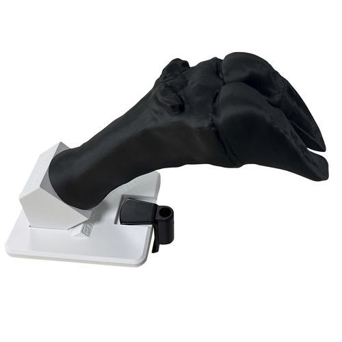 Bandaging simulator - VET4900 - Erler-Zimmer - training / veterinary / cattle