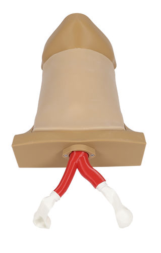 Delivery simulator - 7660 - Erler-Zimmer - cricothyrotomy / training / anatomy