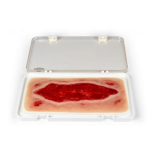 Wound management simulator - PW005B - Erler-Zimmer - nursing care / pad