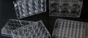 Laboratory microplate - ET3196 - EuroClone - for cell cultures / 96-well