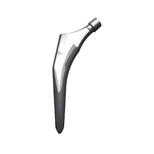 Cemented or non-cemented femoral stem - F2H - FH Orthopedics