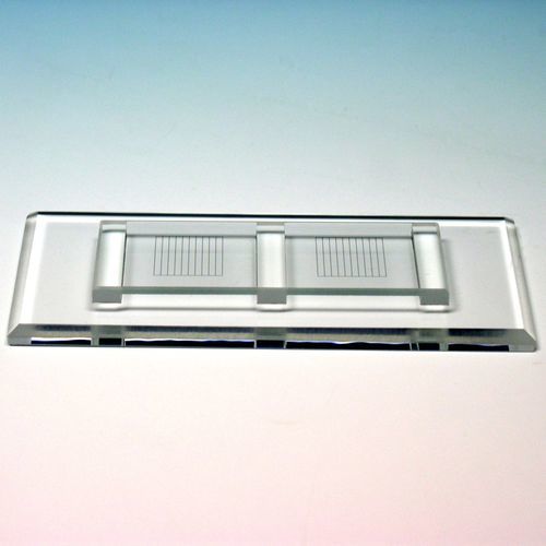 Manual counting chamber - 40454   - Glaswarenfabrik Karl Hecht - portable / veterinary / for blood cells