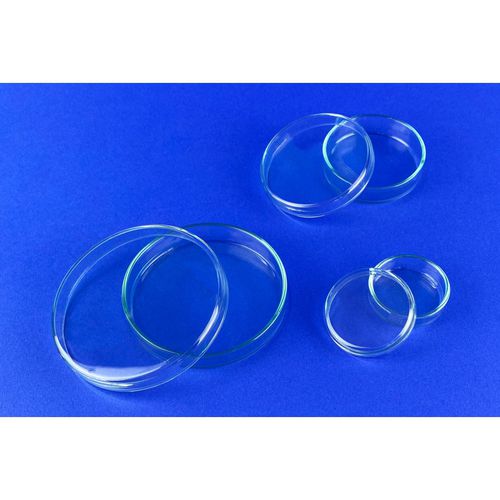 Glass Petri dish - 41042 series - Glaswarenfabrik Karl Hecht - 60 mm / 100mm / 90 mm