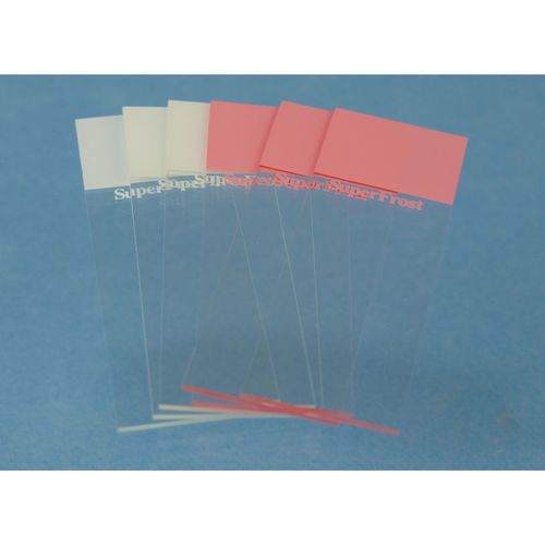 Microscope slide - 42409 series - Glaswarenfabrik Karl Hecht