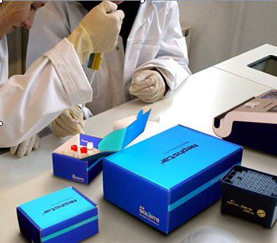 Multi-function reagent - Nephstar - Goldsite Diagnostics Inc. - protein ...