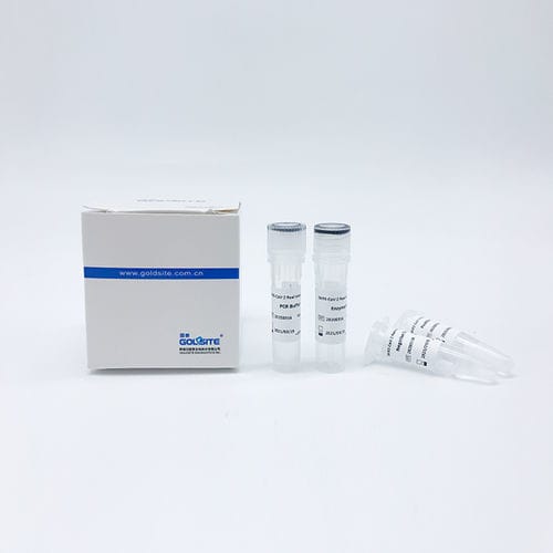 Buffer solution reagent kit - Goldsite Diagnostics Inc. - DNA polymerase / reverse transcriptase / for nucleic acids