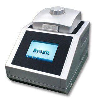 Gradient thermal cycler - Life ECO - Hangzhou Bioer Techonology   - 96-well / with touchscreen / with USB port