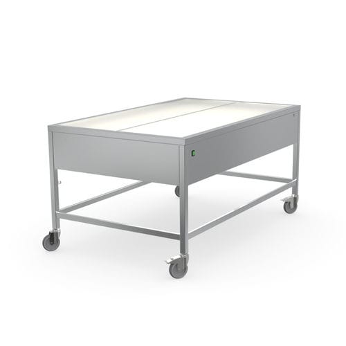Work table - 7505956 - Hupfer Metallwerke GmbH & Co. KG - rectangular / on casters / folding