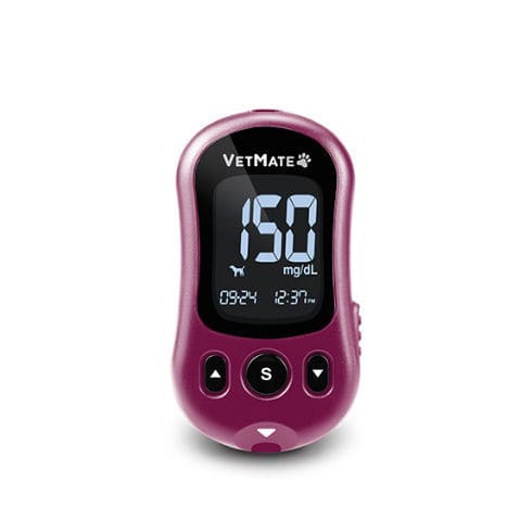 veterinary blood glucose meter - i-Sens