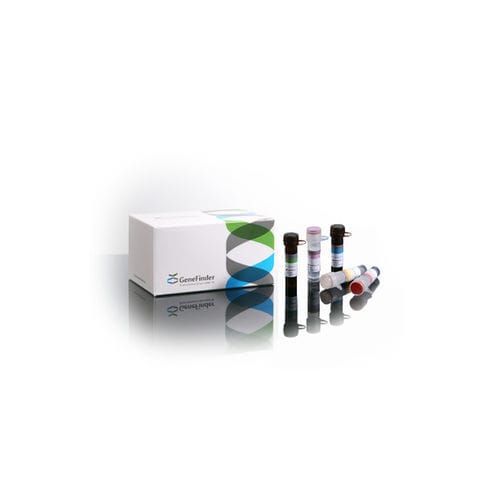 COVID-19 test kit - GeneFinder™  - OSANG Healthcare - SARS-COV-2 / nasopharyngeal / throat
