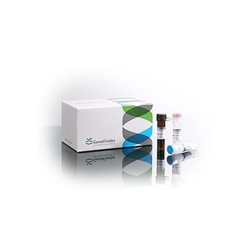 Rheumatic disease test kit GeneFinder™ OSANG Healthcare HLAB27