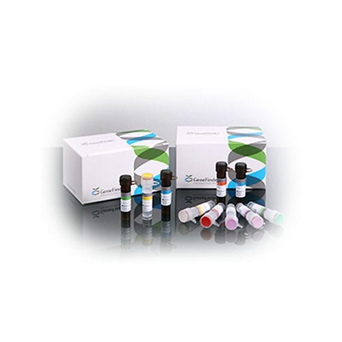 Infectious disease test kit - GeneFinder™  - OSANG Healthcare - for cervical cancer / oncology / HPV