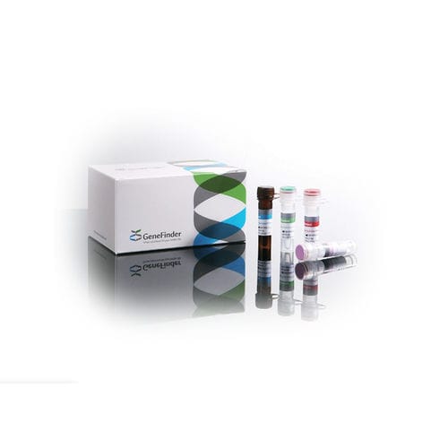 STD test kit - GeneFinder™ - OSANG Healthcare - Ureaplasma urealyticum ...