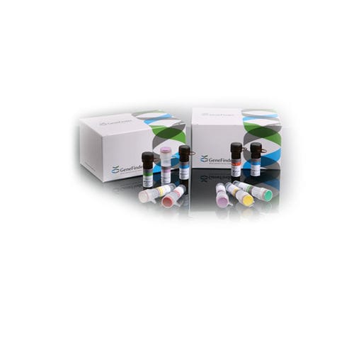 Dengue fever test kit - GeneFinder™ - OSANG Healthcare - chikungunya / for infectious diseases / serum