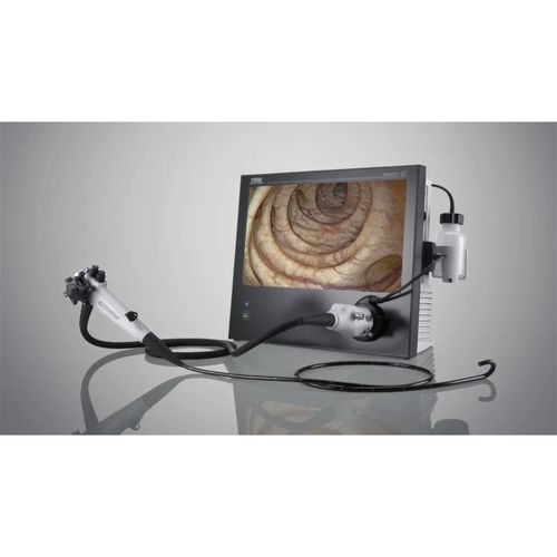 Video veterinary gastroscope - KARL STORZ - for small animals