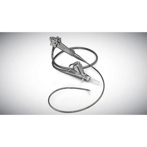 Video veterinary bronchoscope - KARL STORZ - for large animals