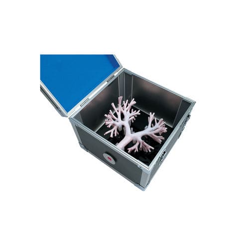 Lung model - LM-092 - KOKEN 