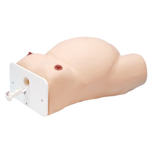 Gynecological care training manikin - LM-080 - KOKEN  - pregnancy / woman / torso